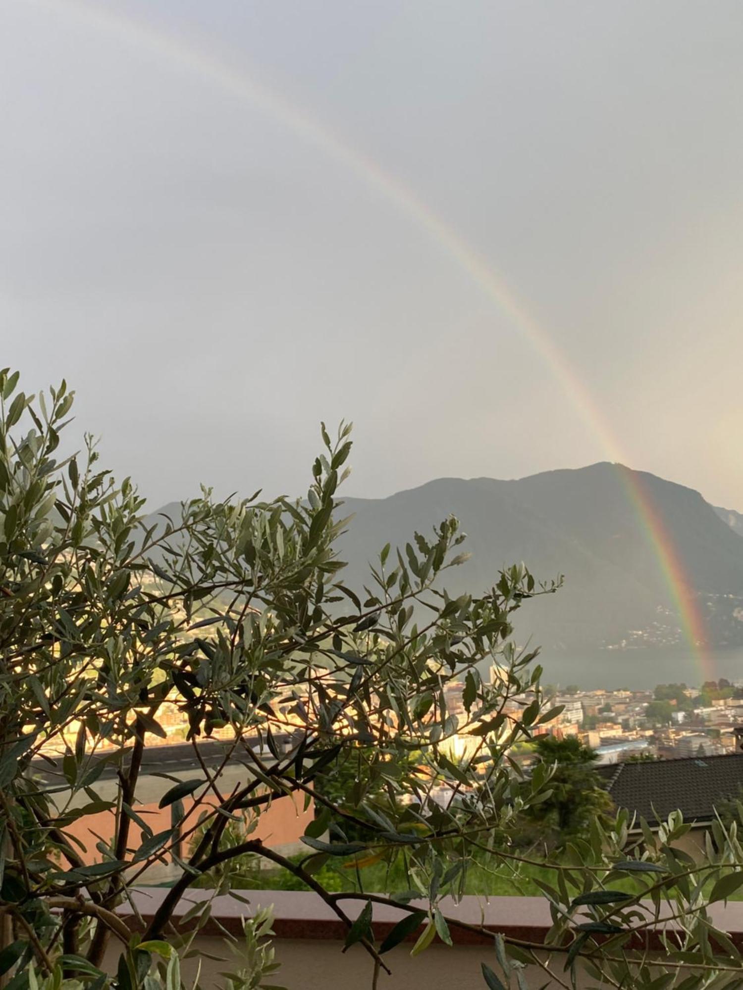 Lugano Single Room B&B Exterior photo